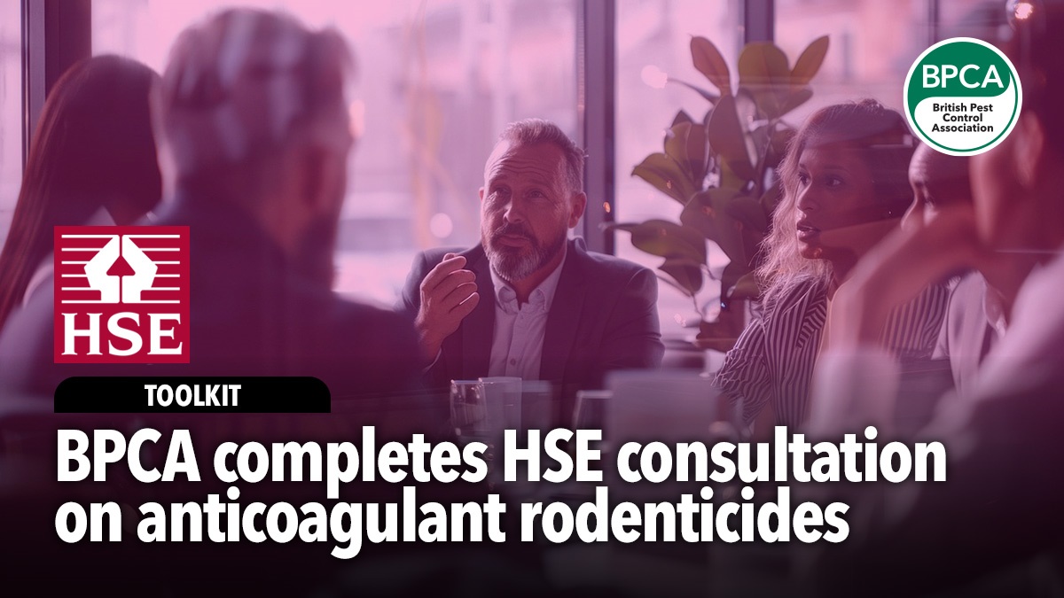 bpca-submits-hse-consultation-anticoagulants-hero